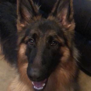 Meet your Posher, Cypress